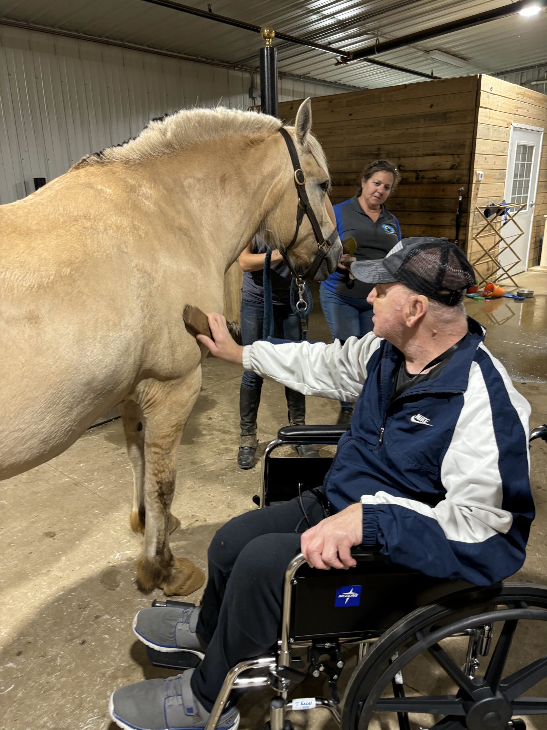 Caring for Animals